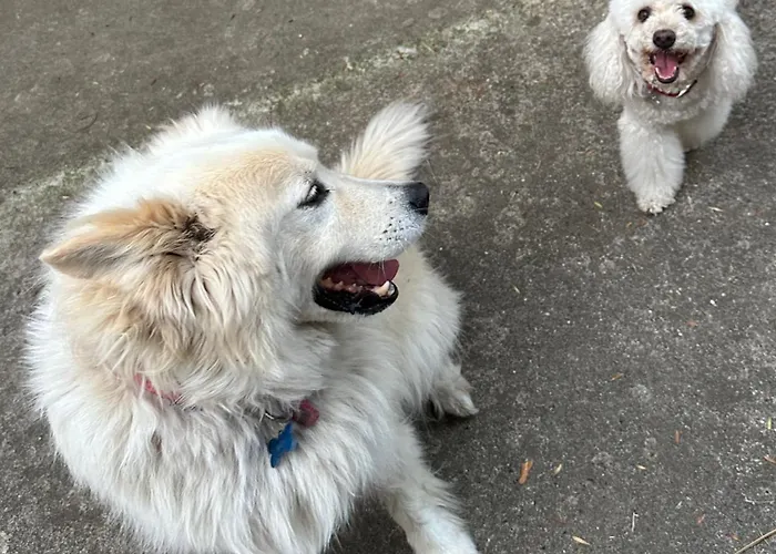 Rosemarin Κόπερ