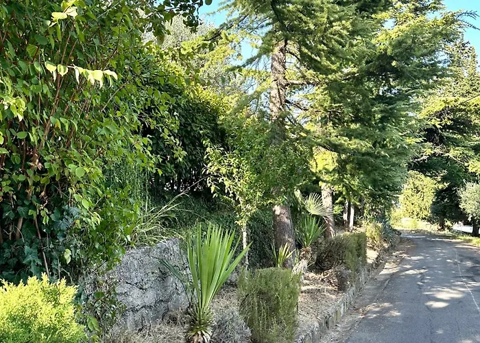 Rosemarin Lägenhet *